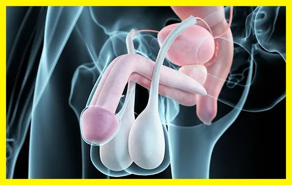 Descriptive text about the image